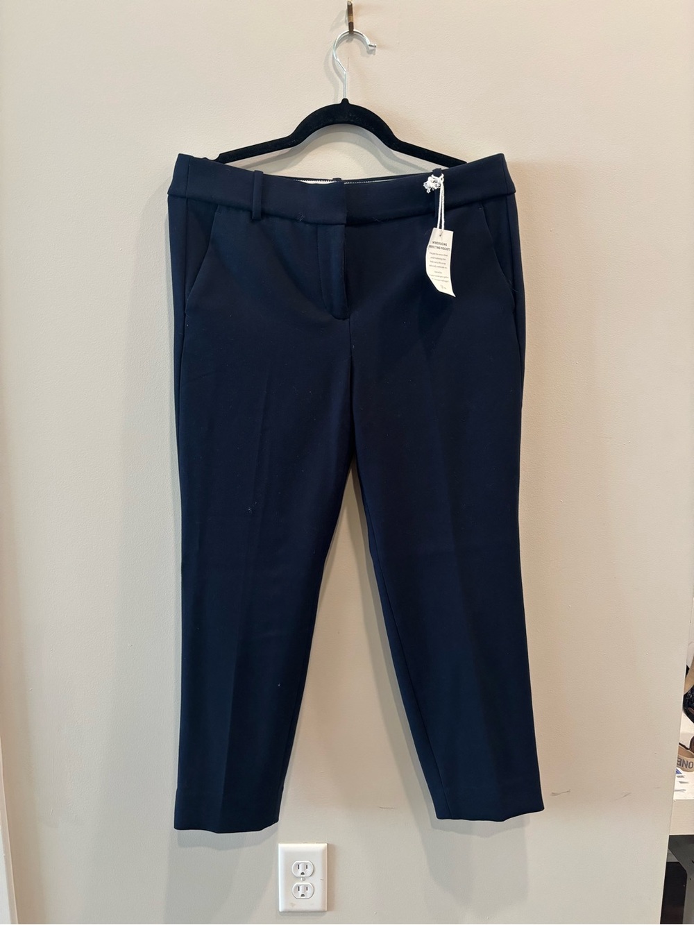 J. Crew Navy Ankle Cropped Pants